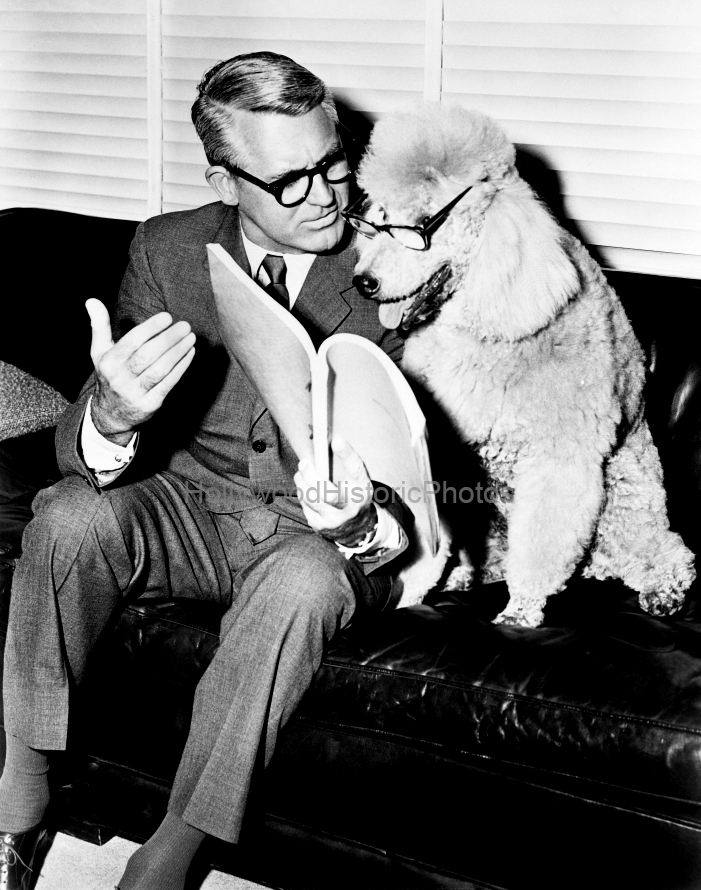 Cary Grant, his standard poodle reading script Father Goose 1964 wm.jpg